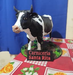 Carnicería Santa Rita