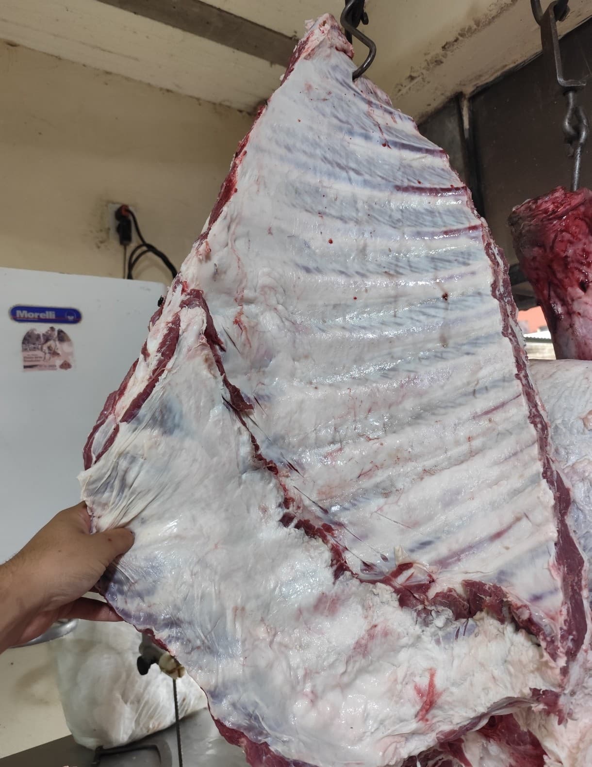 Carnicería Santa Rita